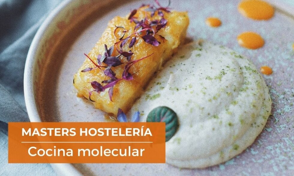 C Mo Se Hace La Cocina Molecular Masters Hosteler A